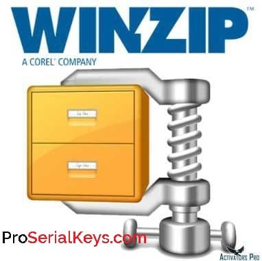 winzip with code