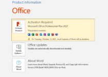 Office 2021 Home & Business